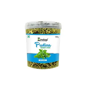 Zindagi Dry Pudina Leaves  Natural Mint Leaf  Pure & Refreshing  Dehydrated Ready To Use For Home & Kitchen (100 Gram)
