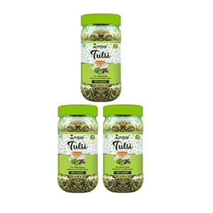 Zindagi Tulsi Dried Leaves  Pure Herb  Popular As Ayurvedic Supplement (35 Gm Each) Pack of 3