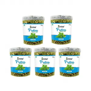 Zindagi Dry Pudina Leaves  Natural Mint Leaf  Pure & Refreshing  Dehydrated Ready To Use For Home & Kitchen (100 Gram) Pack of 5