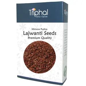 TRIPHAL Lajwanti Seeds  Mimosa Pudica  Chui Mui Bij  Lajvanti Beej | Clean and Sorted -100Gm