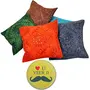Mirror Embroidery Hand Work Cotton 5 Piece Cushion Cover - Multicolor (DLI3CUS445)
