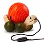 Wooden Pull Toy With Rotating Ball - Tuttu Turtle (Orange)