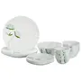 ted Lily Dinner Set 25-Pieces Green