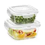 Borosil Klip-N-Store Set of 2 Microwave & Oven Safe Gift Set Glass Storage Container 320ml & 520ml Square with Air Tight Lid