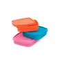 Signoraware Smart N Slim Plastic Lunch Box Set 350ml Set of 3 Multicolour
