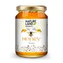 Natureland Organics Honey 250 Gm - Pure - Natural - Organic Food