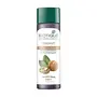 Biotique Walnut Volume & Bounce Shampoo & Conditioner For Fine & Thinning Hair 190ml