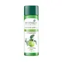 Biotique Green Apple Shine & Gloss Shampoo & Conditioner For Glossy Healthy Hair 120 ml