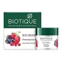 Biotique Bio Berry Plumping Lip Balm Smoothes & Swells Lips 12G