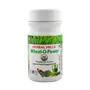 Herbal Hills Wheatgrass Powder | Certified Organic (100 gms Single Pack)