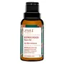 Jiva Kumkumadi Oil - 30 ml - Pack of 1 - Pure Herbs Used Improves Skin Health Reduces Scars Blemishes & Pigmentation