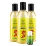 Jiva Amla Oil - 120 ml - Pack of 3 - For All Hair Types Amla Hair Oil for Hair Growth