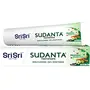 Sri Sri Tattva Sudanta Herbal Toothpaste - All Natural Fluoride Free Tooth Paste with Cloves Charcoal Bakul & More - 50g (Pack of 1) for Kids and Adults