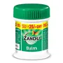 Zandu Balm | Effective relief from Headache Body Pain Sprain and Cold | No. 1 Ayurvedic Balm for Quick Pain Relief 25ml