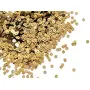 Golden Metallic Flat Round Sequins (4 mm) (Pack of 100 Grams) for Embroidery Embellishing Handbags Apparels DIY Art and Craft Supplies