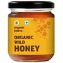 Organic Tattva Organic Wild Raw Honey 250 Gram | Unprocessed Unfiltered Unpasteurized and Natural Honey