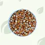 Maize Seeds Premium 2 kg (70.54 OZ), 3 image