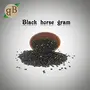Black Horse Gram 500 gm (17.63 OZ), 3 image