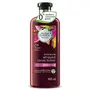 Herbal Essences Bio:renew White Strawberry & Sweet Mint Shampoo 400ml & bio:renew Whipped Cocoa Butter Shampoo 400ml Combo, 5 image
