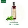JIVA Painn Calm Oil (120 ml) for Joint and Muscular painn Pack of 2, 3 image