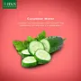 JIVA Ayurveda Cucumber Natural Water for Prevents infections | Skin toner | Pack of 2, 5 image