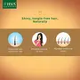 JIVA Ayurveda Henna Hair Care for Long Healthy and Strong Hair | Hair fall Control | Repairs damaged hair Pack of 2, 3 image