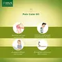 JIVA Painn Calm Oil (120 ml) for Joint and Muscular painn Pack of 2, 5 image
