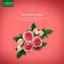 JIVA Ayurveda Rose Petal Natural Water for Freshens and tones the skin| All Skin type| Pack of 2, 6 image