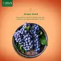 JIVA Ayurveda Grape Seed Mask |Tones and tightens the skin| Removes impurities | Anti-aging (50 gm)_Pack of 3, 4 image
