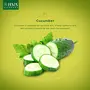 JIVA Cucumber Cream (50 gm) and Kumkumadi Oil (30 ml) Combo Pack, 4 image