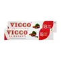 Vicco Vajradanti Ayurvedic Toothpaste (200 g) -Set of 3, 2 image