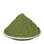 Indigo Powder - Neel Patti Powder - Indigofera tinctoria (100 Grams), 3 image