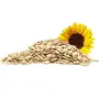 Sunflower Seeds - Surajmukhi Magaj (100 Grams), 3 image