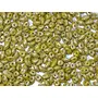 Olive Green Super Duo Czech Glass Beads (5 MM 850 Beads), 2 image