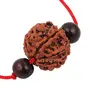 7 Mukhi Nepali Rudraksha with Red Chandan Beads, 3 image
