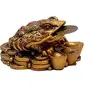 Vastu Money Frog with Coin Showpiece - Brass (4 cm x 6 cm x 8 cm), 3 image