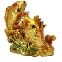 Vastu Colorful Fish for Good Luck and Prosperity/Double Fish, 2 image