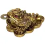 Frog Showpiece Brass Colour (9 cm x 11 cm x 9 cm), 3 image