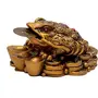 Vastu Money Frog with Coin Showpiece - Brass (4 cm x 6 cm x 8 cm), 2 image