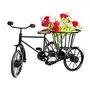 Wood Rickshaw Flower Holder Black, 2 image