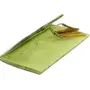Recycled Paper Handmade Gifting (Sagan) Envelopes-with Stick-Light Green (Pack of 5 Envelopes), 2 image