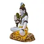 India Handcrafted Lord Shiva Idol Showpiece I Best for Home Decor I Best for Office Gifts I Mandir Decoration, 5 image