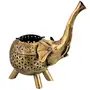 Decorative Wrought Iron Metal Beautiful Elephant Design Tea Light Candle Holder Candle lamp Showpiece for Home Decor., 3 image