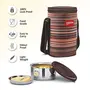 MILTON Ribbon 3 Stainless Steel Lunch Box with Jackets Set of 3 Brown, 3 image