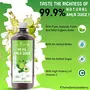 99.9% Pure Amla Juice | Natural source of high potency Vitamin C and Antioxidants for Immunity Energy & Detoxification - 1 L, 3 image