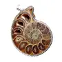Stone Ammonite Pendant For Man, Woman, Boys & Girls- Color- White/Grey (Pack of 1 Pc.), 4 image