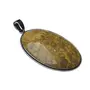 Stone Agitated Coral Fossil Pendant For Man, Woman, Boys & Girls- Color- Orange (Pack of 1 Pc.), 2 image