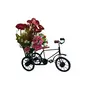 Wooden Antique Classic Retro and Wrought Iron Model Miniature Bicycle Bottle Holder Figurine/Cycle/Rickshaw Showpiece|Table/Home/Office dÃ©cor|Flower Vase, 2 image