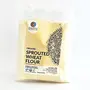 Dhatu Organics Sprouted Wheat Flour 500 g Superior Nutrition Living Food, 3 image