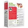 Organic Amla Powder 100g, 2 image